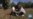 16x9 Image