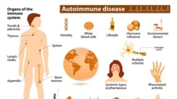Quiz - Autoimmune Diseases Affect More Women than Men