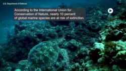 Breakthrough Agreement To Protect Oceans