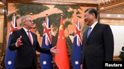 Perdana Menteri Australia Anthony Albanese bertemu dengan Presiden China Xi Jinping di Aula Besar Rakyat China di Beijing, 6 November 2023. (AAP Image/Lukas Coch via REUTERS)