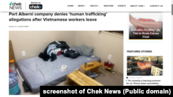 Chek News đưa tin về 16 công nhân Việt sống trong điều kiện tồi tệ ở Port Alberni, 3/7/2024.