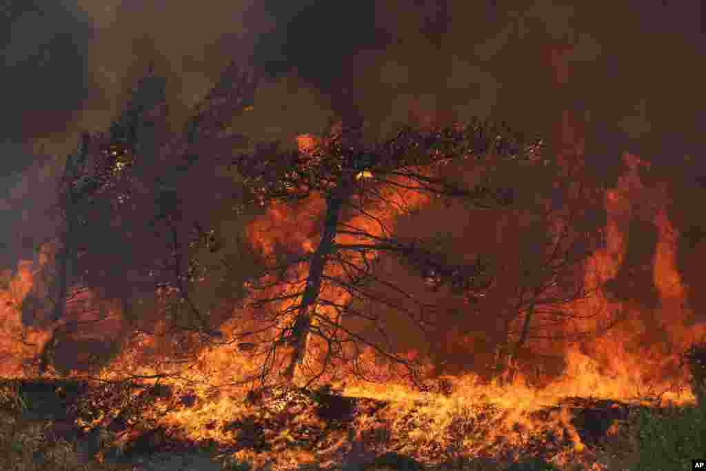 Flames burn a forest in Vati village, on the Aegean Sea island of Rhodes, in Greece.&nbsp;A third successive heat wave in Greece pushed temperatures back above 104&deg; F across parts of the country, following more nighttime evacuations from fires that have raged out of control for days.