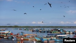 Los pescadores llevan los peces capturados al mercado de Tumbes, en Perú, el 31 de marzo de 2023.