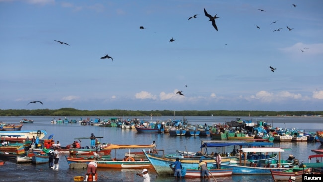 Los pescadores llevan los peces capturados al mercado de Tumbes, en Perú, el 31 de marzo de 2023.