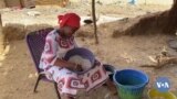 🇲🇱Seli Fitini labin Koro marala 