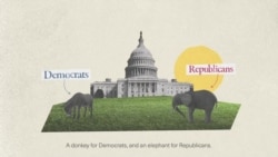 VOA Explains US Political Party Symbols