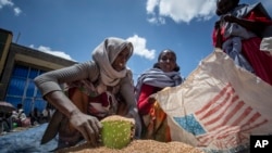 FILE - An Ethiopian woman scoops up portions of wheat to be allocated to each waiting family after it was distributed by the Relief Society of Tigray in Agula, in the Tigray region of northern Ethiopia, May 8, 2021. 