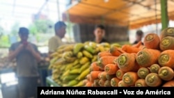 Las hortalizas se venden a 1,20 dólares por kilogramo en un mercado popular del este de Caracas