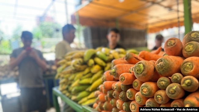 Las hortalizas se venden a 1,20 dólares por kilogramo en un mercado popular del este de Caracas