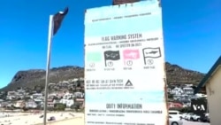 South African Shark Spotters Keeping Swimmers Safe
