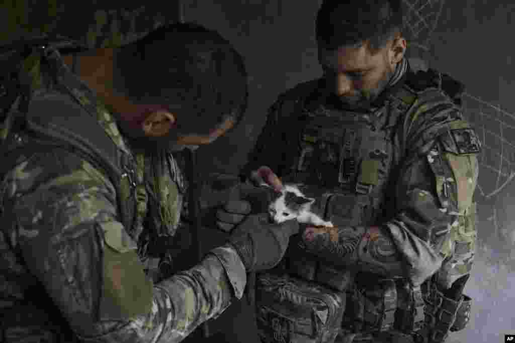 Ukrainian soldiers hold a young cat in a shelter under the Russian shelling on the frontline in the Zaporizhzhia region, July 2, 2023.