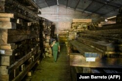 Seorang pria di sebuah gudang yang menyimpan kayu-kayu sitaan di Kotamadya Socorro, Departemen Santander, 3 Desember 2023. (Foto: Juan Barreto/AFP)