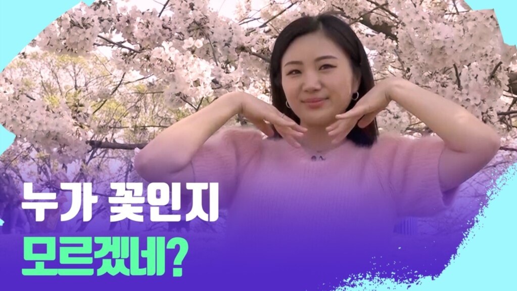 [포토맥 스케치] 웃음꽃이 핀 DC 벚꽃 축제 현장 속으로