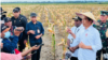 Jokowi mengatakan hasil panen food estate dengan varietas jagung di kabupaten keerom, Papua berkembang dengan baik melebihi panen jagung nasional. (Foto: Courtesy/Biro Setpres)
