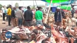 Itiyoophiyaa Keessatti Qaala'insi Jireenyaa Kanneen Galii Xiqaa fi Giddu Galeessaa Qaban Miidhaa Jira