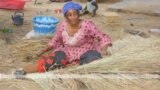 Sisan, an ka malidenw ka jaabi lamɛn, min bɛ u hakili la nin waati in na