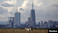 FILE - The Nairobi skyline is seen in the background as a zebra walks through the Nairobi National Park, near Nairobi, Kenya, December 3, 2018. 