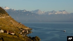 Switzerland Lavaux