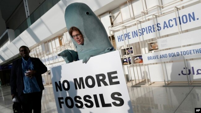 Alice McGown holds a sign while dressed as a dugong at the COP28 UN Climate Summit, Dec. 3, 2023, in Dubai, United Arab Emirates.