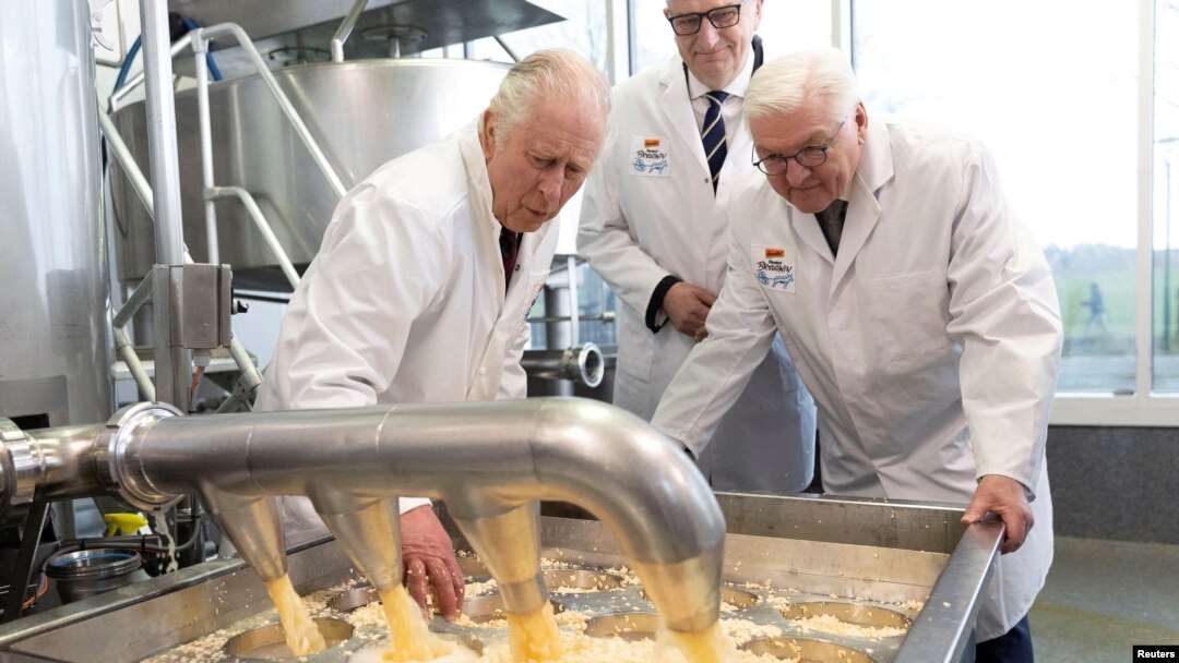 Raja Inggris Charles III mengamati proses pembuatan keju di salah satu peternakan organik di Brandenburg, dalam kunjungannya ke Jerman, pada 30 Maret 2023. (Foto: Stephen Lock/Pool via Reuters)
