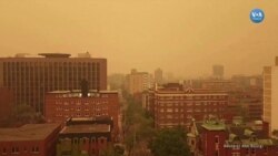 Kanada’da orman yangınlarının dumanları puslu havaya neden oluyor