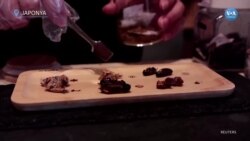 Bu kafede haşereler menüye geri döndü 