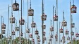 Birds sit in cages during a bird singing competition in Thailand's southern province of Narathiwat, Sept. 18, 2023. 