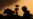 For News Organizations, Flood of Gaza War Video Is Both Illuminating and Troubling