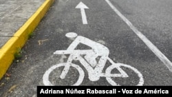 Ciclocanal al borde de la calzada en una avenida del Este de Caracas.