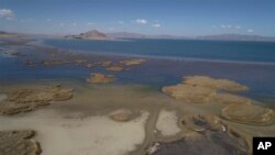 A partial view of Lake Titicaca in Huarina, Bolivia, on July 27, 2023. The lake's low water level is having a direct impact on the local flora and fauna.