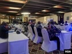 Delegates attending IOM meeting in Victoria Falls