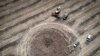 FILE - A farmer harvesting a field 10 km from the front line, maneuvers around a crater left by a Russian rocket in the Dnipropetrovsk region, Ukraine, July 4, 2022.