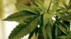 Two Tribal Nations to Open Minnesota's First Legal Recreational Marijuana Dispensaries 