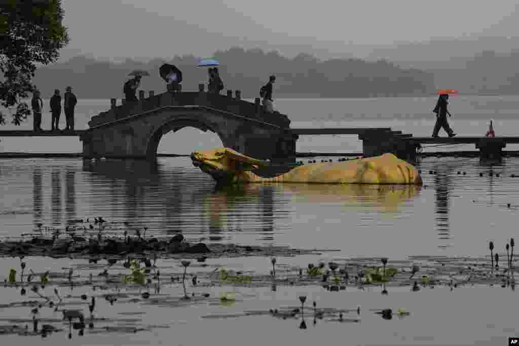 Visitors cross a stone bridge next to a golden sculpture of a bull at the popular West Lake scenic area ahead of the 19th Asian Games in Hangzhou, China.