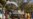 Human Rights Watch criticizes Burkina Faso for omitting abuses in state report