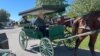 Lelang Produk Suku Amish, dari Selimut hingga Kereta Kuda