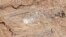 This satellite photo taken by Planet Labs PBC shows Israel's Nevatim air base, April 19, 2024.