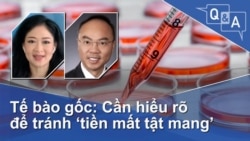 Tế bào gốc: Cần hiểu rõ để tránh ‘tiền mất tật mang’
