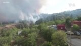 Зголемените температури на морето ги загрозуваат коралните гребени на Флорида