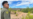 Cruces irregulares en la frontera se reducen a la mitad en sector de Arizona tras restricciones al asilo