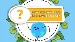 Quiz - Lesson 38 - How Can You Help the Environment?