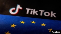 欧盟旗帜与TikTok标识