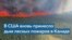 Пожары в Канаде: леса горят на площади в 80 тысяч кв км 