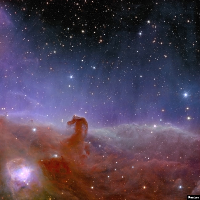 Stellar nursery called "Horsehead Nebula", also known as Barnard 33, and part of constellation Orion, captured by Euclid telescope. (European Space Agency/Handout via REUTERS)