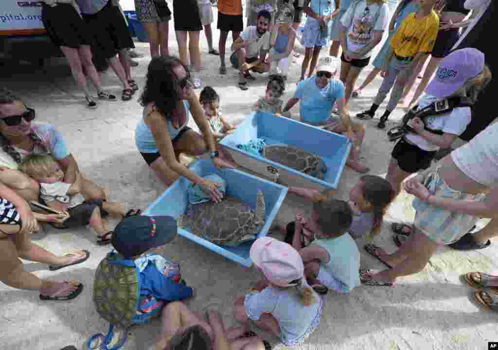 Estados Unidos. Niños se reúnen en torno a un grupo de tortugas en el Turtle Hospital, en los Cayos de Florida. Ahí, y como una manera de conmemorar el Día de la Tierra, el gerente del Instituto habla de la importancia de cuidar y mantener limpios los océanos. Momentos después, dos tortugas rehabilitadas fueron liberadas.