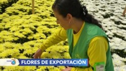 Flores colombianas alegran a los enamorados en Estados Unidos