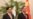 Analyst: US Carrier, Prime Minister's Visits to Vietnam 'No Coincidence'