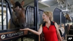 Tracy Hord, who with her husband Greg, own Coyote Creek Sporthorses, feeds treats to one of their hunter jumper horses named "Quantum" in his stall, July 12, 2024, in Porter, Texas.