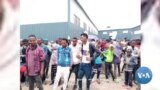 ደብረ ብርሃን የሰፈሩ ተፈናቃዮች እያማረሩ ነው