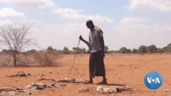 Mercy Corps, Rural Kenyans Join to Combat Impact of Climate Change